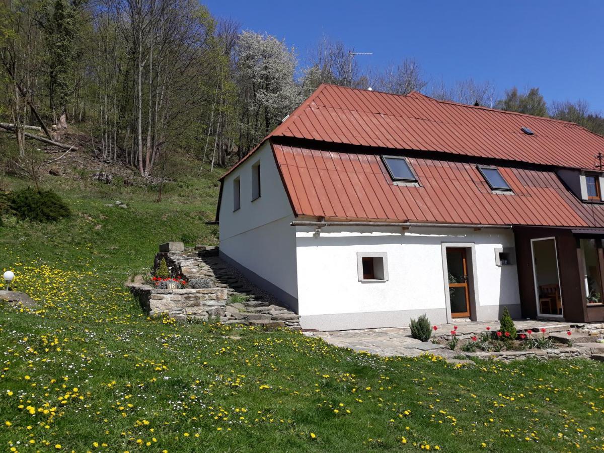 Pokoje Gościnne Thank You Life, Apartament 2 Forest For Rest Bystrzyca Kłodzka Eksteriør bilde