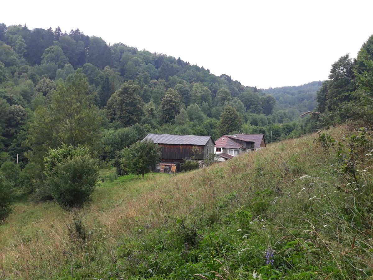 Pokoje Gościnne Thank You Life, Apartament 2 Forest For Rest Bystrzyca Kłodzka Eksteriør bilde